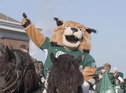 The Importance Of College Mascots, Mascot History, And Why Are Mascots ...