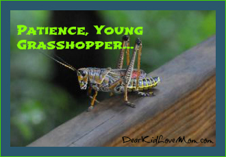 Grasshoppers Quotes. QuotesGram